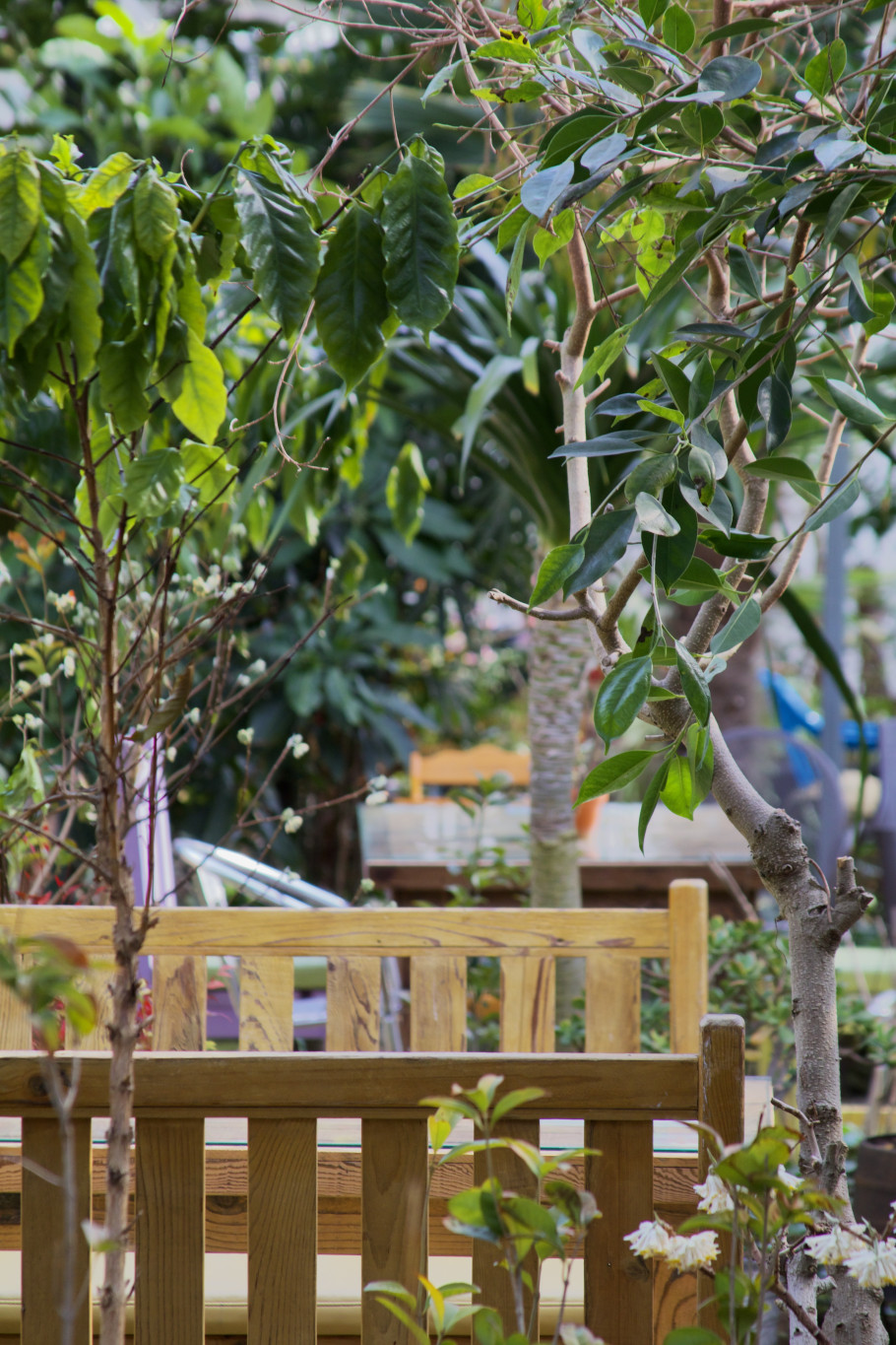 배다골베이커리 포레 리뷰 이미지