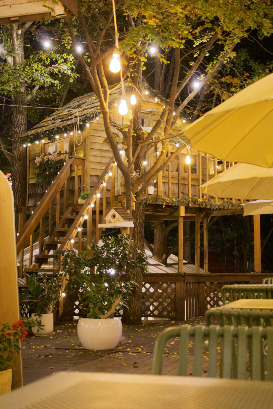 더가드너 리뷰 이미지