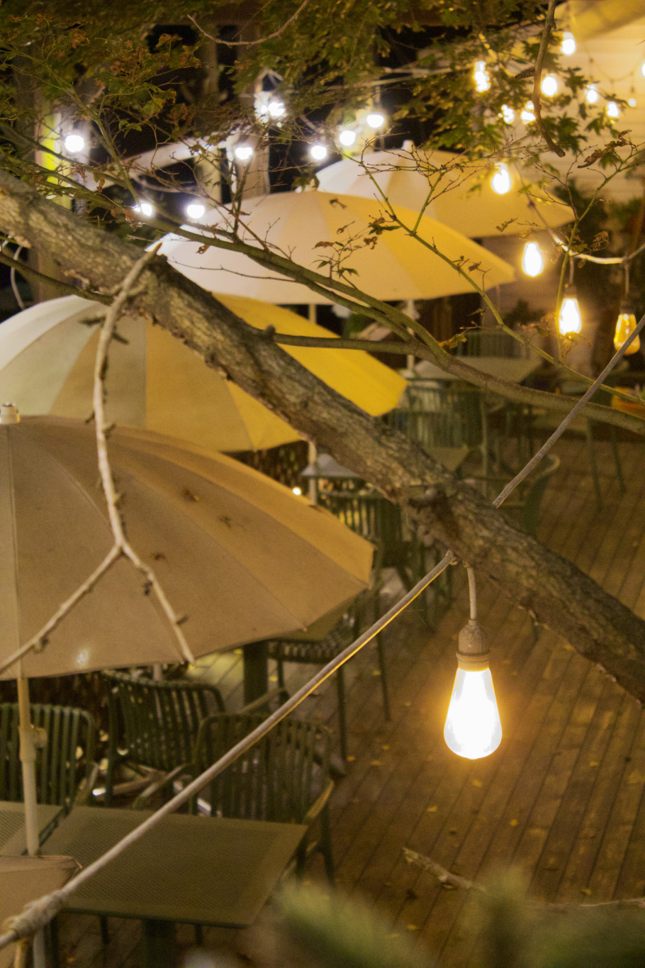 더가드너 리뷰 이미지