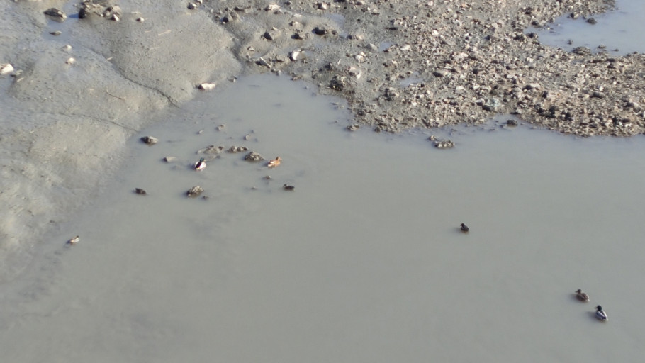 갯골생태공원 소금창고 리뷰 이미지