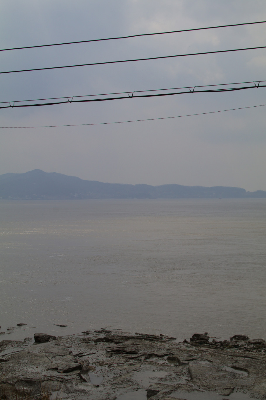 라파밀리아 갤러리 리뷰 이미지