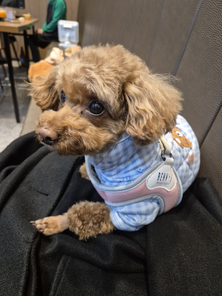 백년불고기물갈비 마곡점 리뷰 이미지