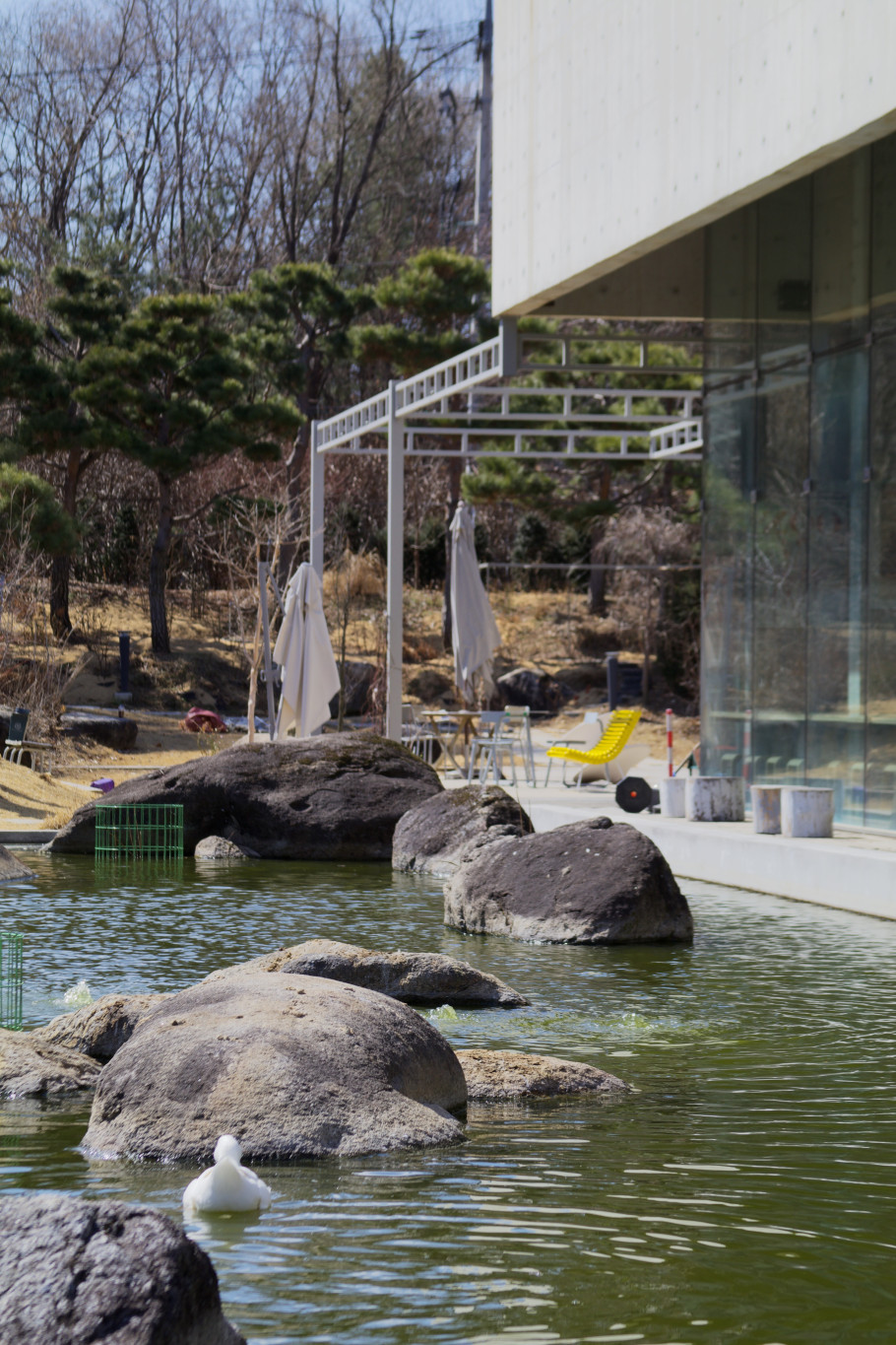 카페 페니키아 리뷰 썸네일 이미지