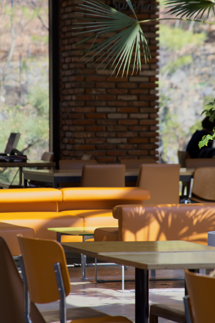 냅인더선샤인 리뷰 이미지