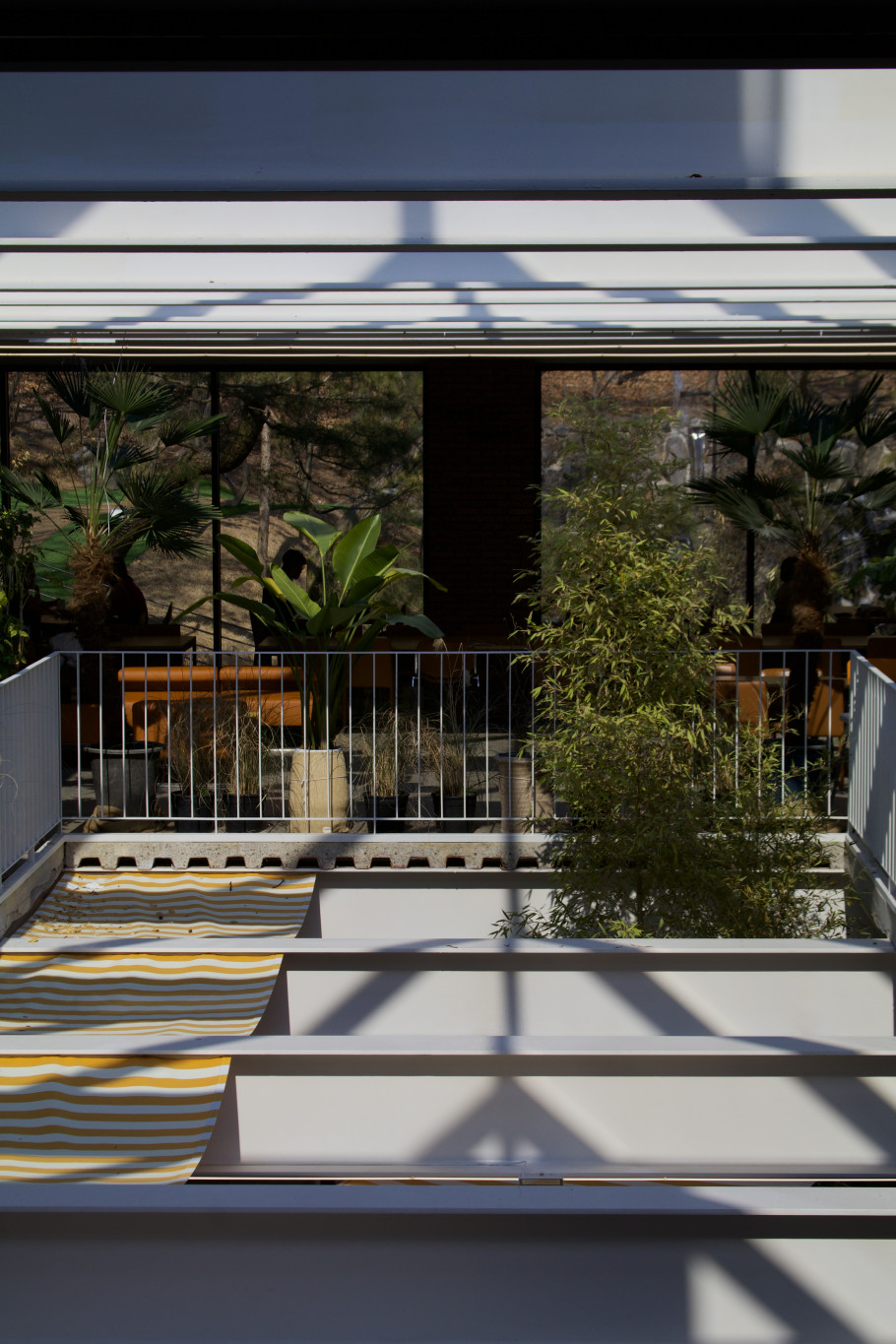 냅인더선샤인 리뷰 이미지