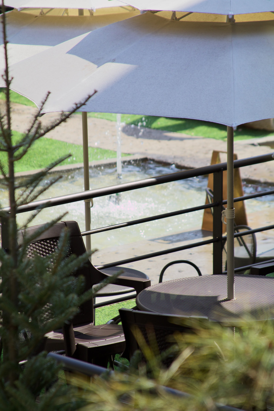 냅인더선샤인 리뷰 이미지