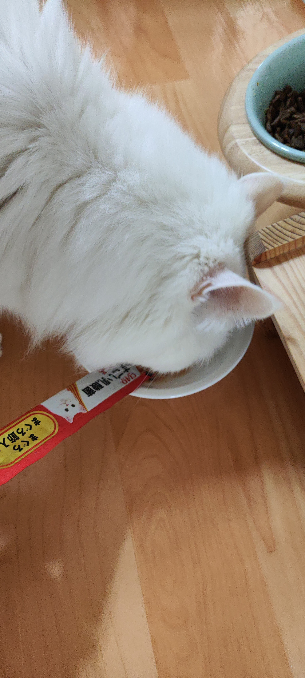 차오츄르 리뷰 이미지