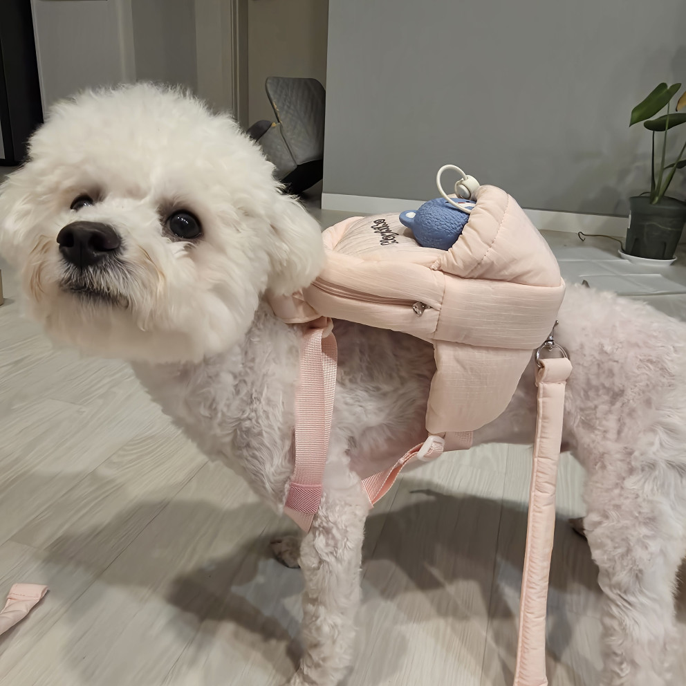 헤이하이호 강아지 하네스 가방 리뷰 이미지