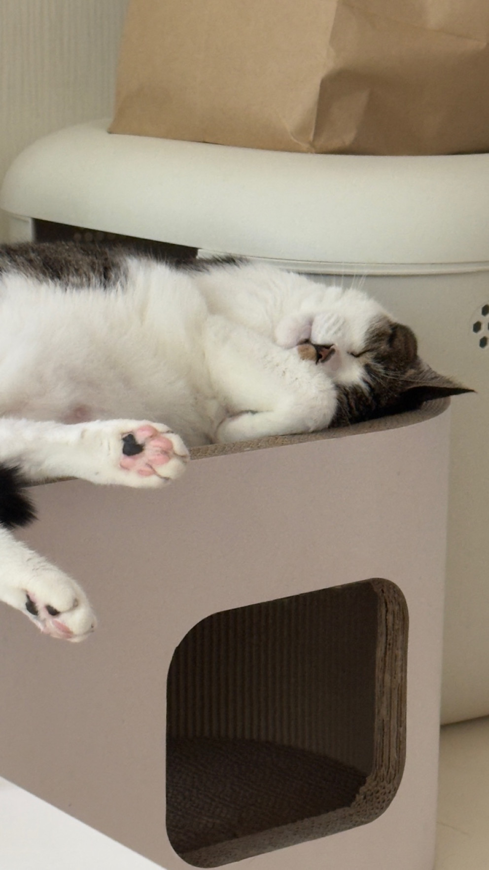 스크래쳐 숨숨집 리뷰 이미지