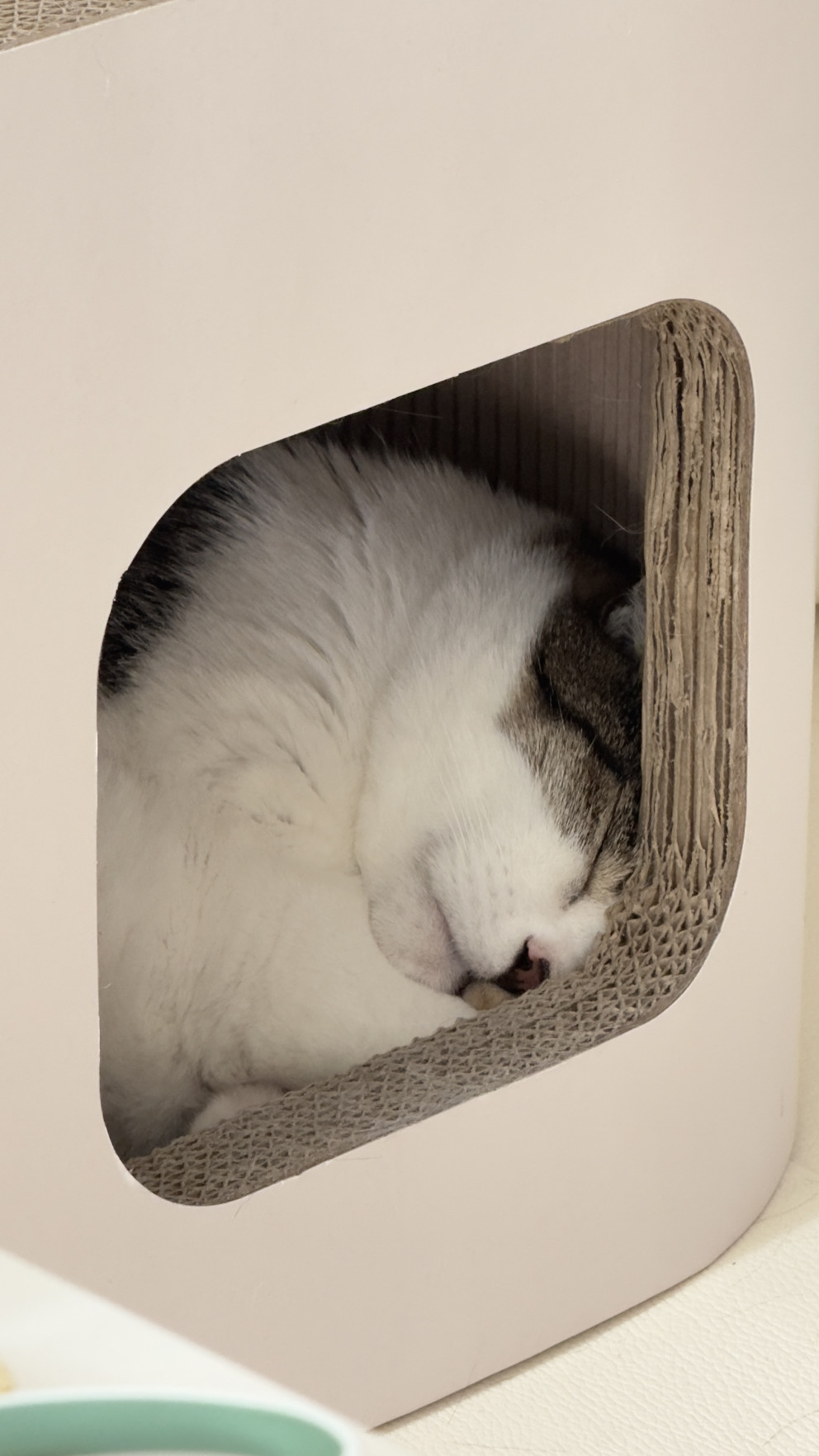 스크래쳐 숨숨집 리뷰 이미지