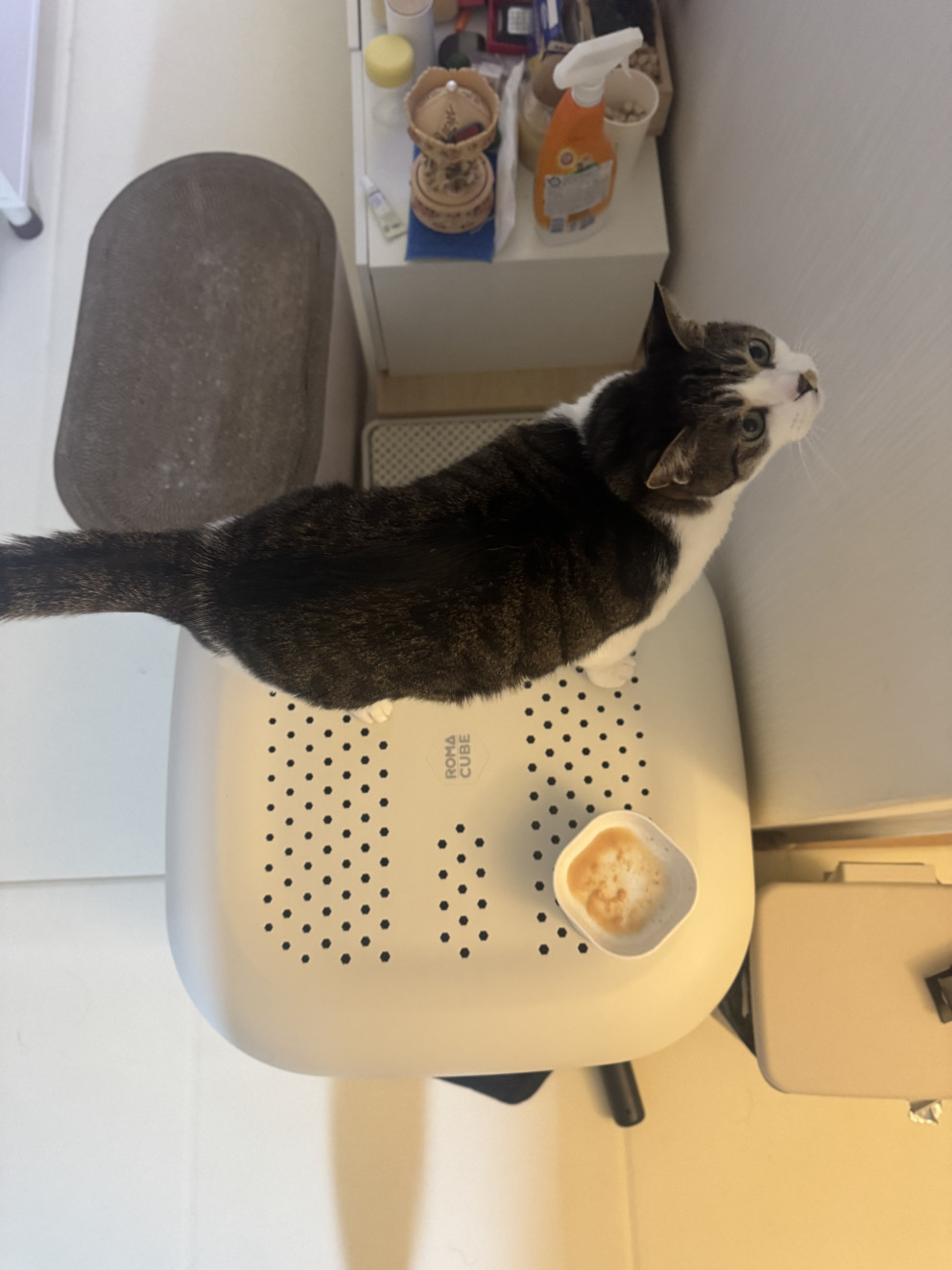 고양이 화장실 로마 큐브 특대형 리뷰 이미지