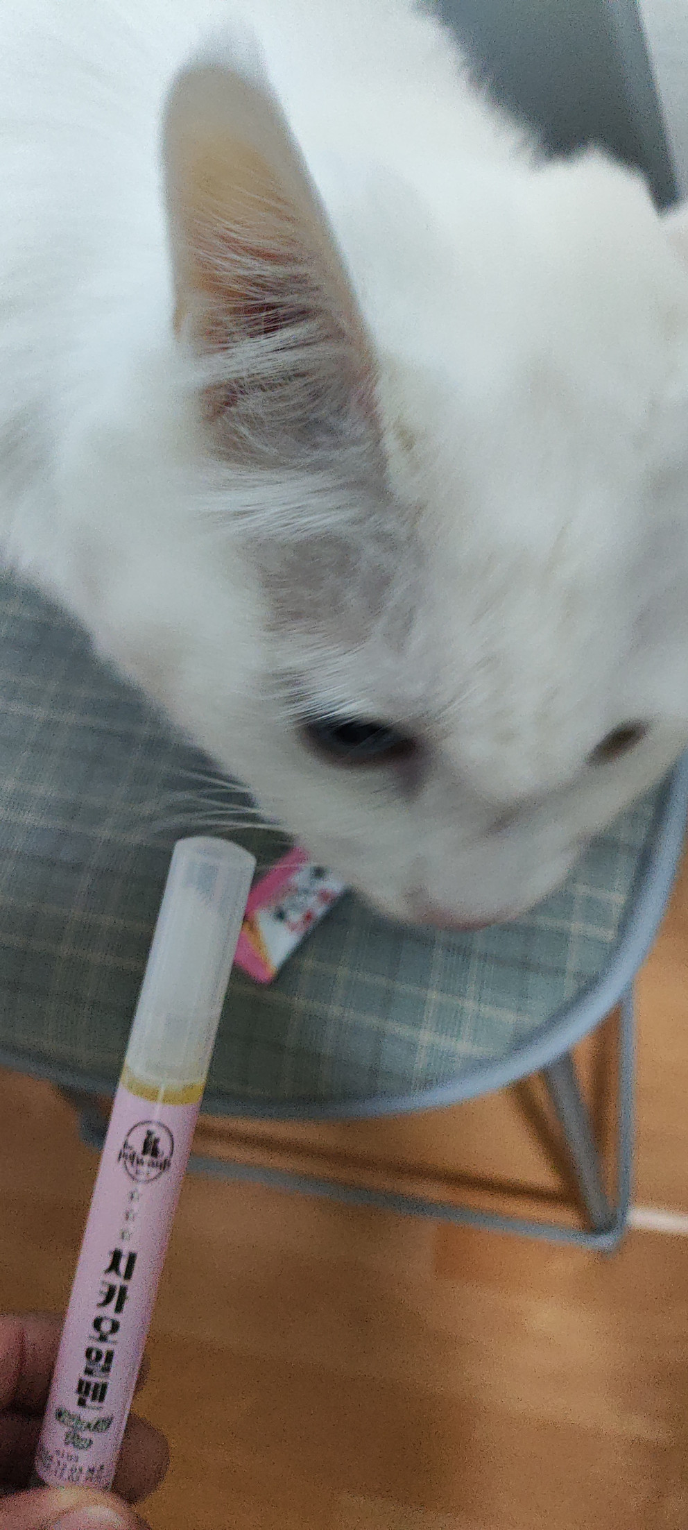 더켓원츠 치카오일팬 리뷰 이미지