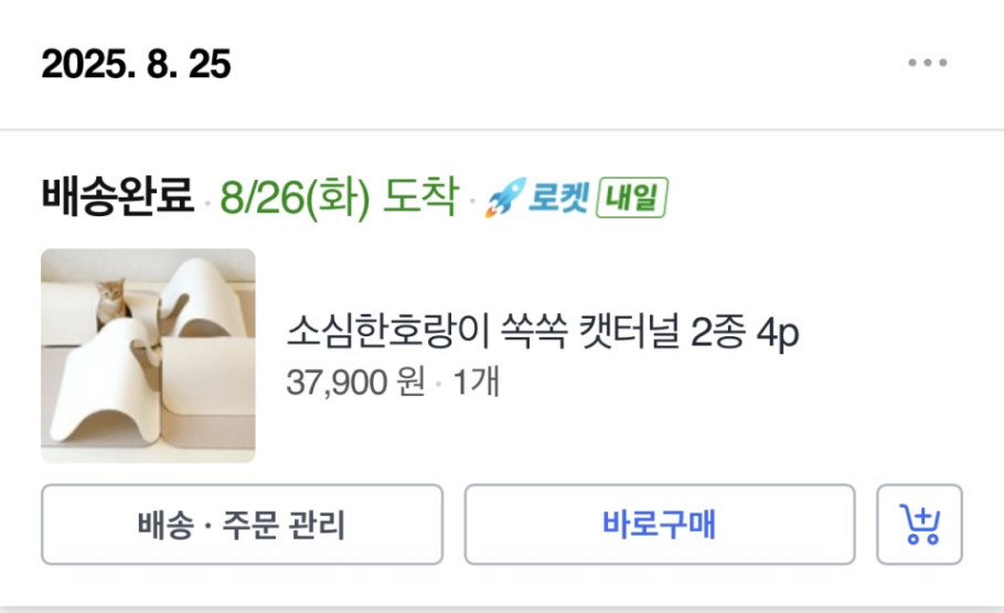 소심한호랑이 쏙쏙 캣터널 리뷰 이미지